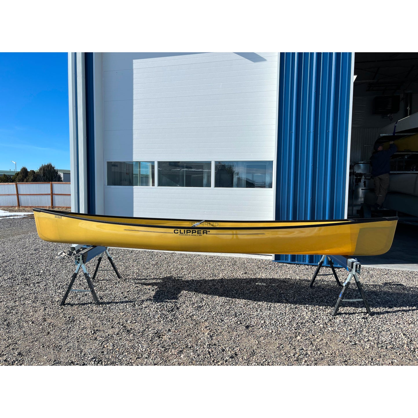 Scout 15ft 10in